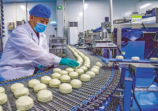 frozen industry packing machine